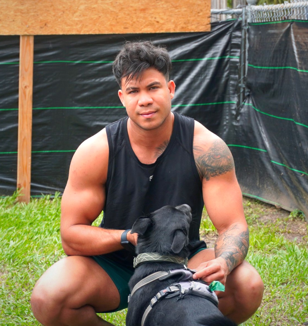 Perro negro